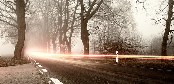 Neblige Landstraße im Winter