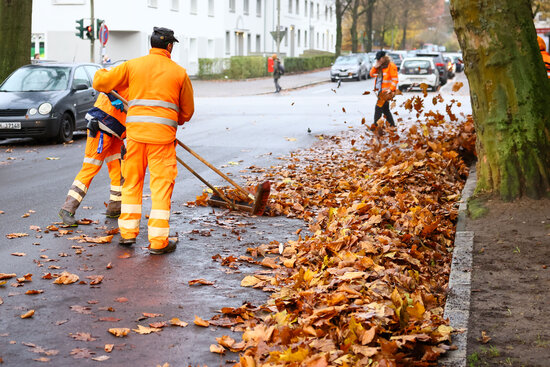 Zwei Beschäftigte der Stadtreinigung Hamburg in orangefarbener Sicherheitskleidung fegen Laub am Straßenrand.