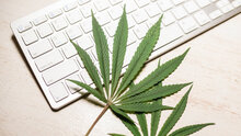 Zwei Cannabisblätter auf einer Laptoptastatur.