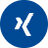 Xing Icon